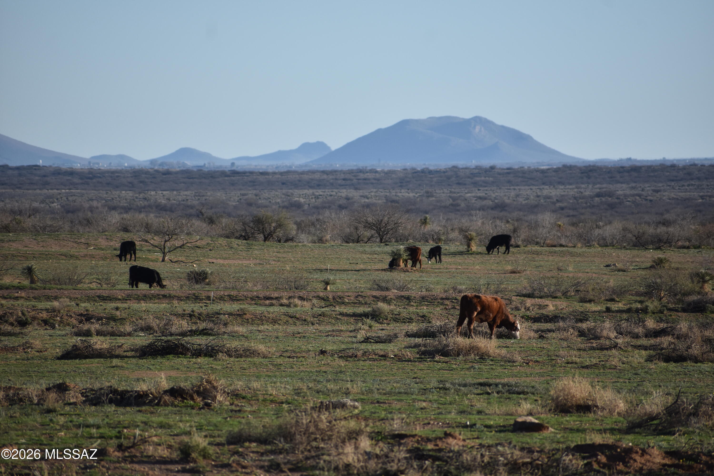 East Howling Wolf Road Willcox, AZ 85643 - Photo 44 of 49
