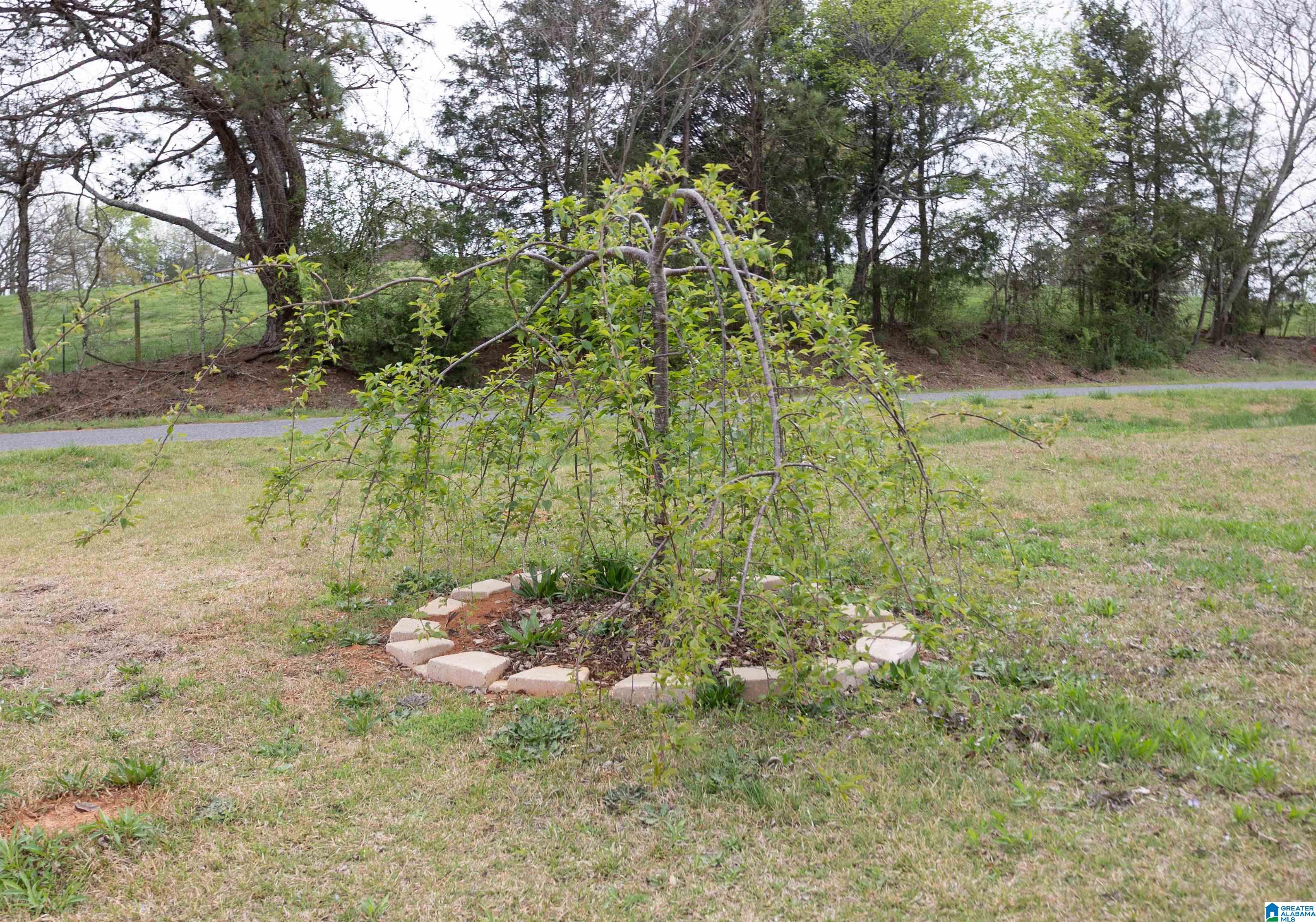249 Denney Road Ashland, AL 36251 - Photo 16 of 22 Gallery Image 16