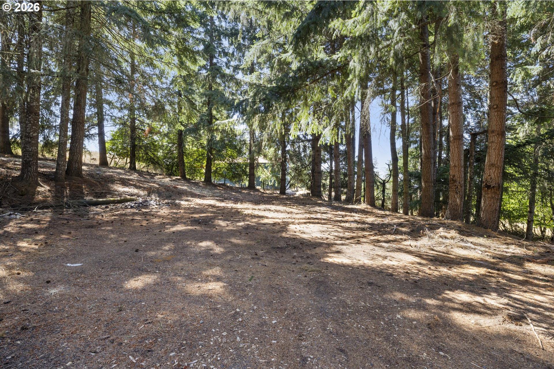 9500 Southeast Starr Quarry Road Amity, OR 97101 - Photo 40 of 48 Gallery Image 40