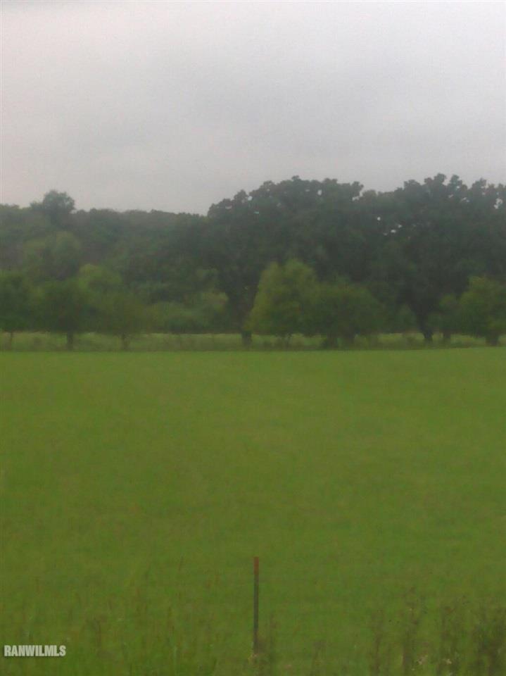 Tbd Beloit Road Belvidere, IL 61008 - Photo 1 of 1 a view of a lake from a yard