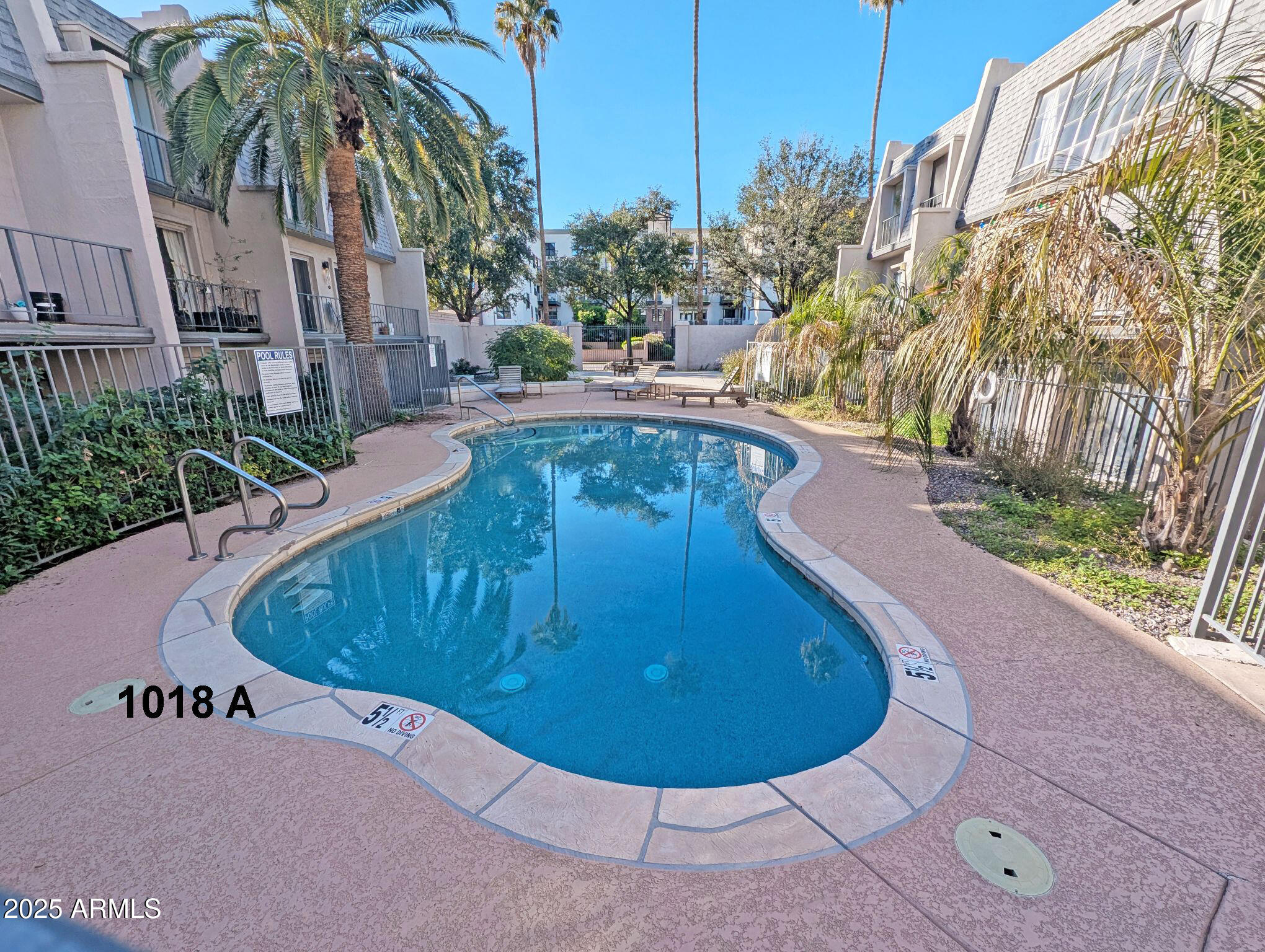1018 East Osborn Road, Unit A Phoenix, AZ 85014 - Photo 14 of 18 a view of a swimming pool with a yard