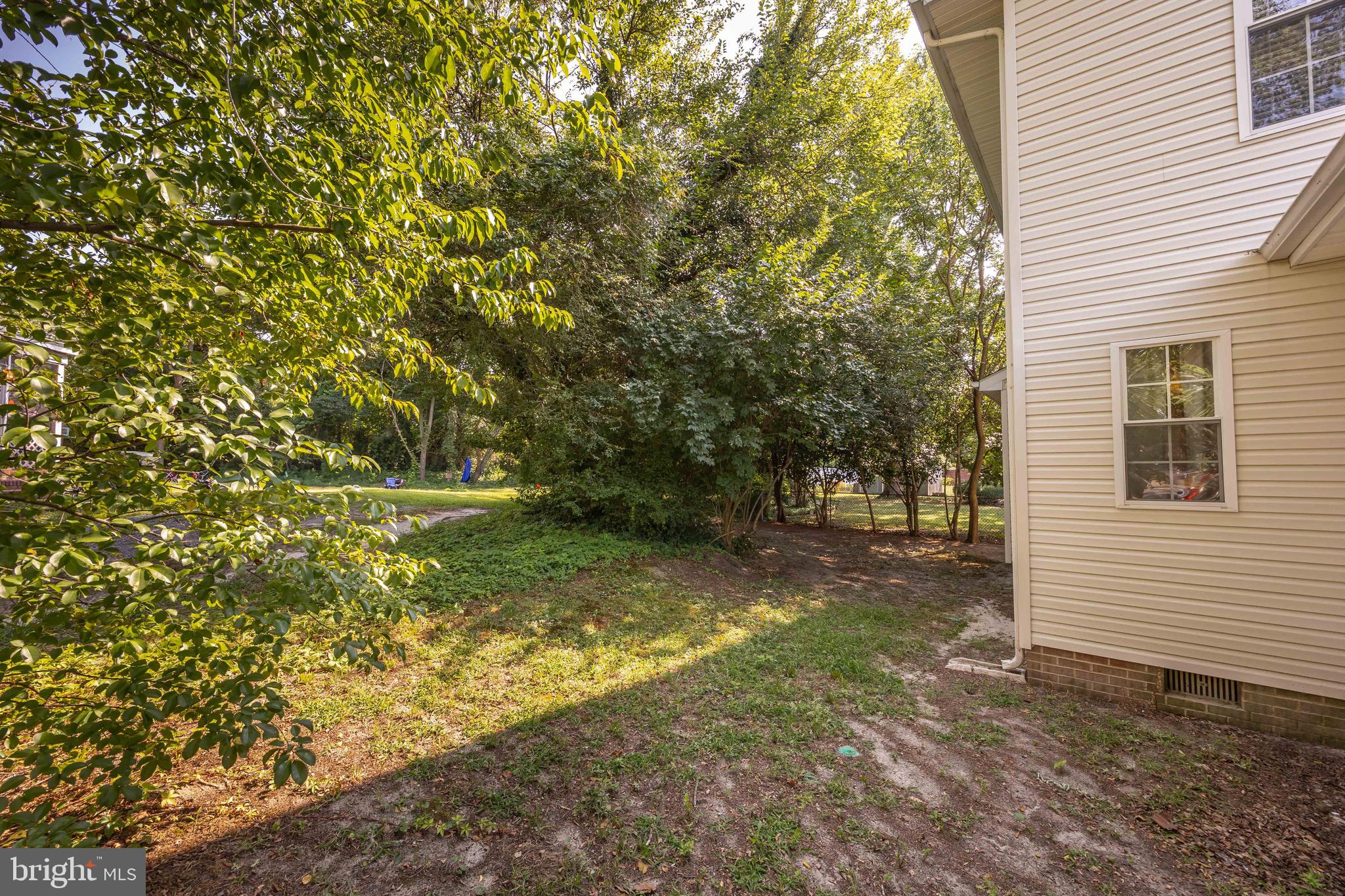 613 Lakeside Drive Salisbury, MD 21801 - Photo 39 of 50 a view of a yard with plants and trees