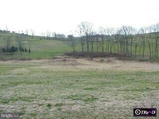 Lot 1 Walnut Road Hamburg, PA 19526 - Photo 3 of 3 Gallery Image 3