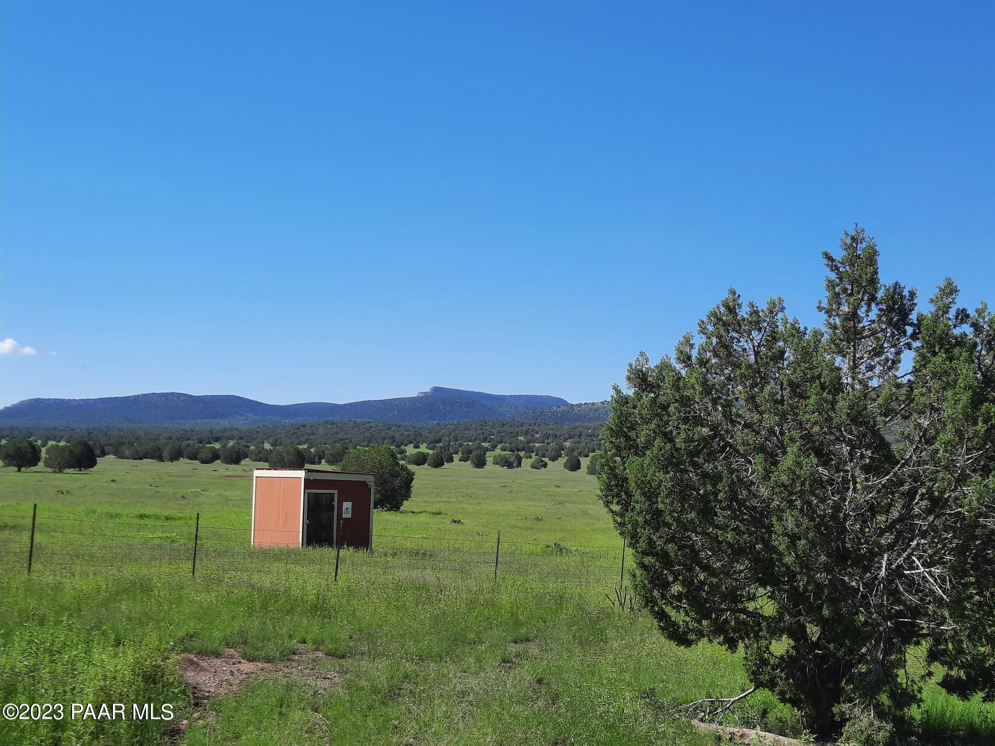 41599 West Terra Ranch Road Seligman, AZ 86337 - Photo 23 of 42 20220828_100412