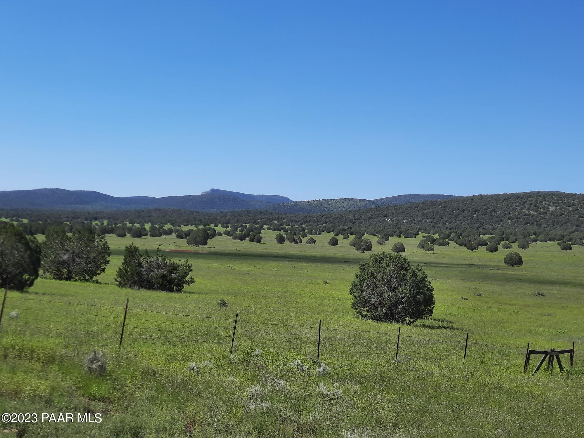 41599 West Terra Ranch Road Seligman, AZ 86337 - Photo 28 of 42 20220828_101405