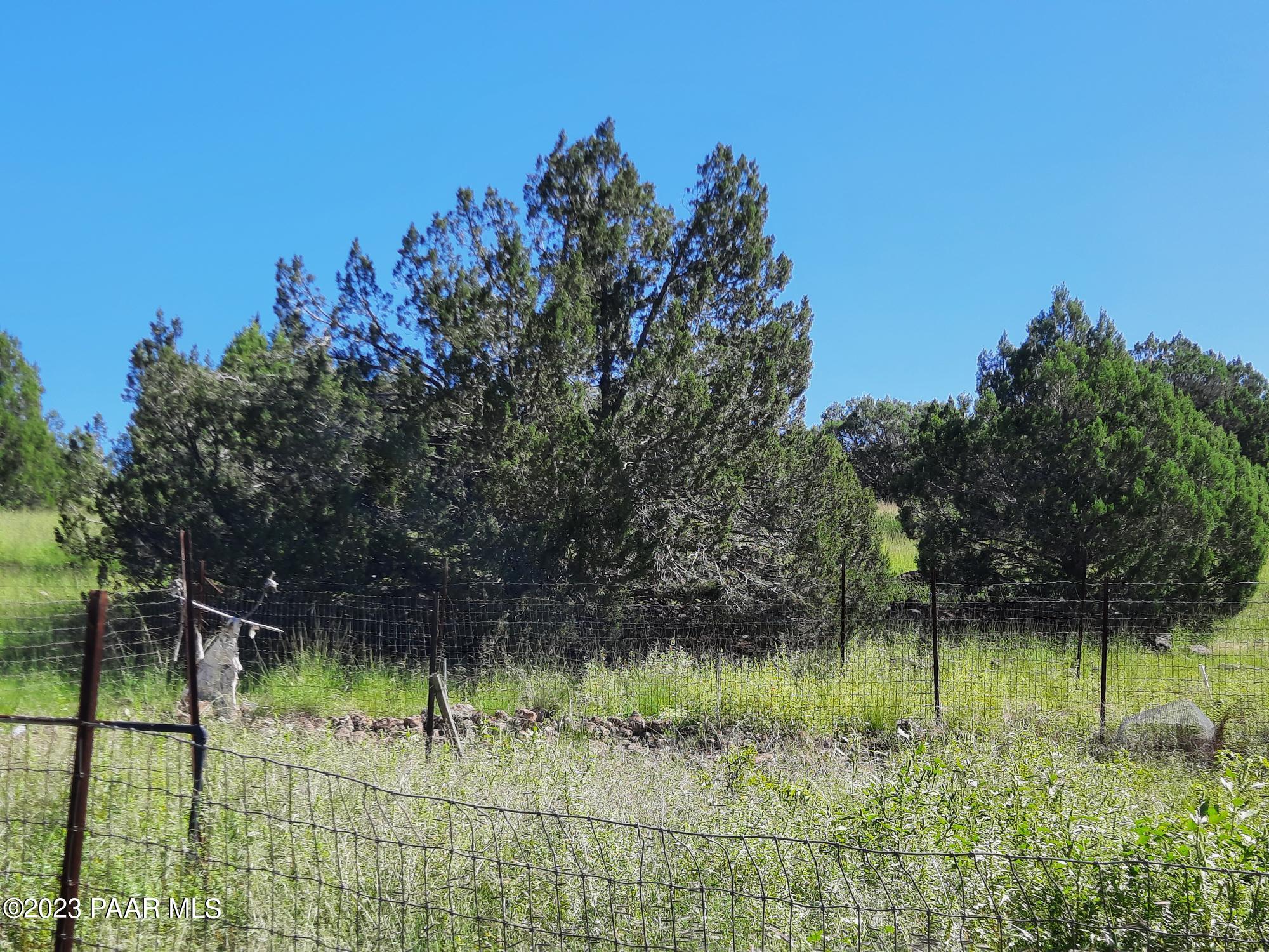 41599 West Terra Ranch Road Seligman, AZ 86337 - Photo 29 of 42 20220828_101535
