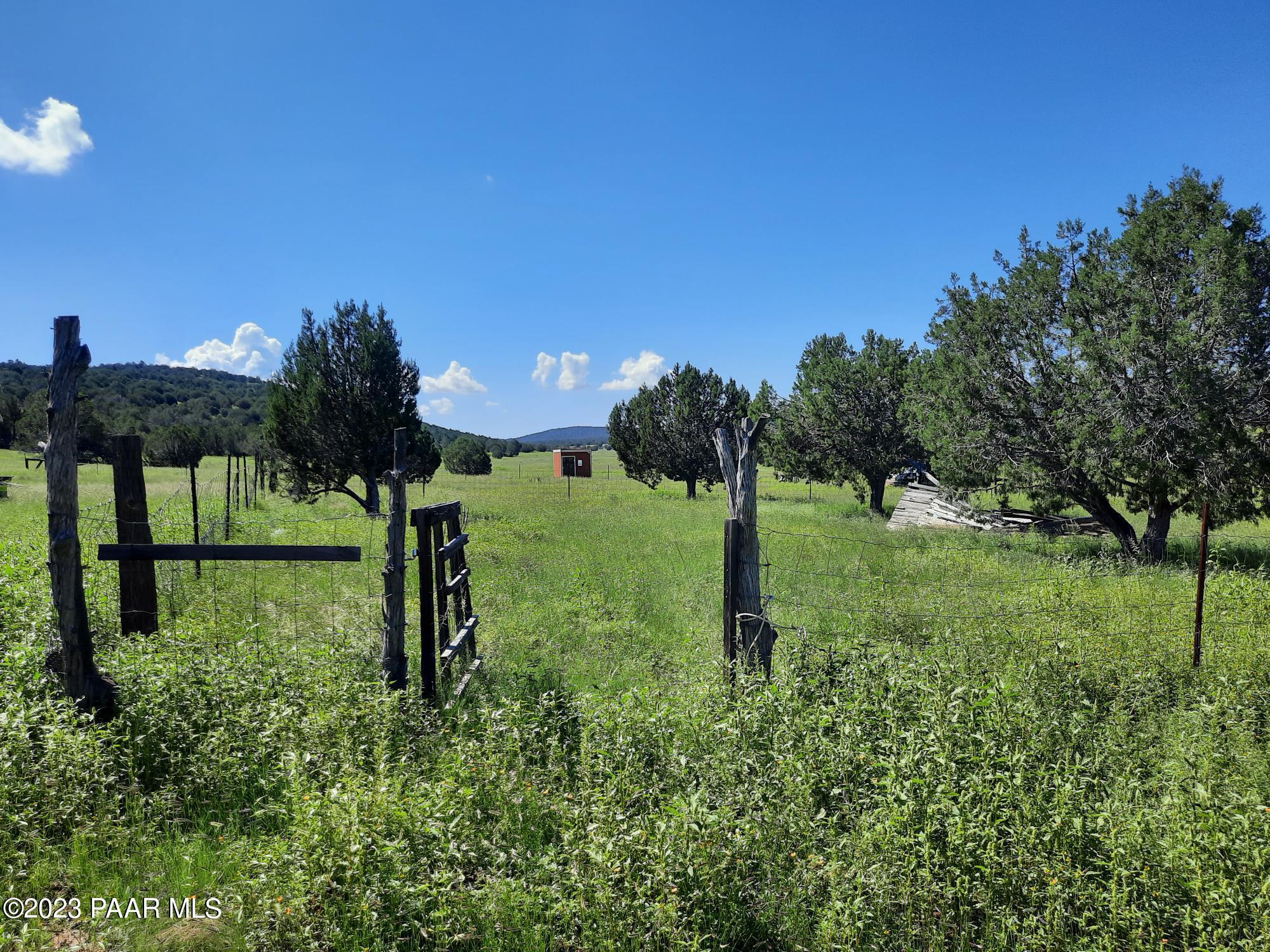 41599 West Terra Ranch Road Seligman, AZ 86337 - Photo 38 of 42 20220828_102245