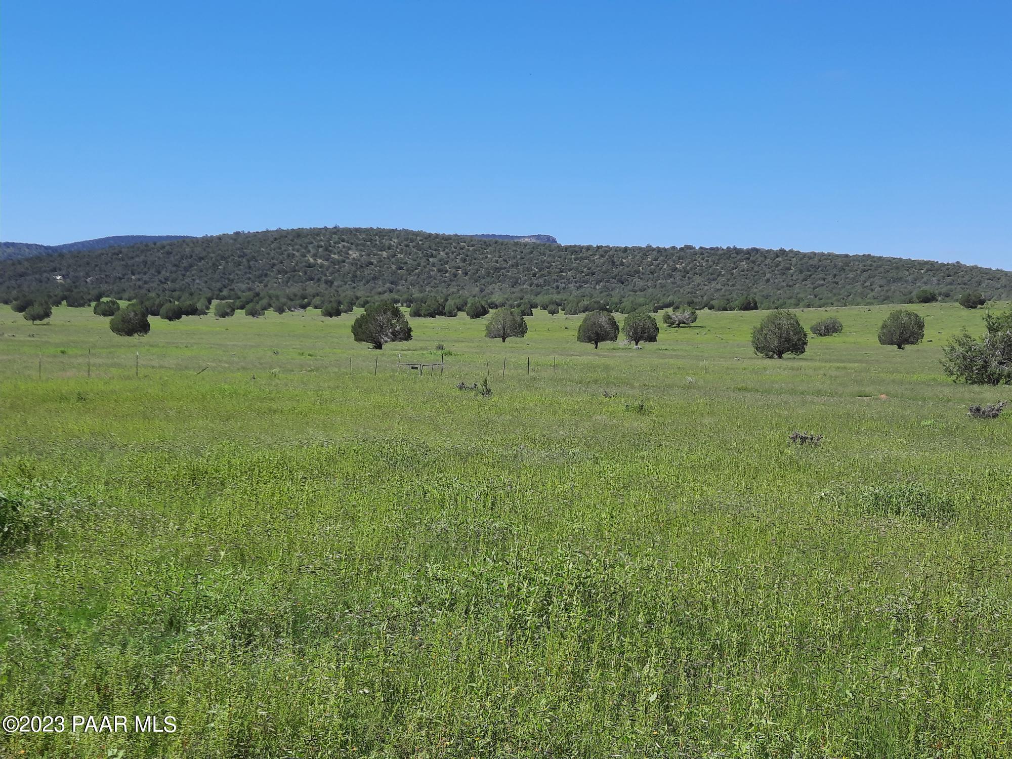 41599 West Terra Ranch Road Seligman, AZ 86337 - Photo 39 of 42 20220828_102553