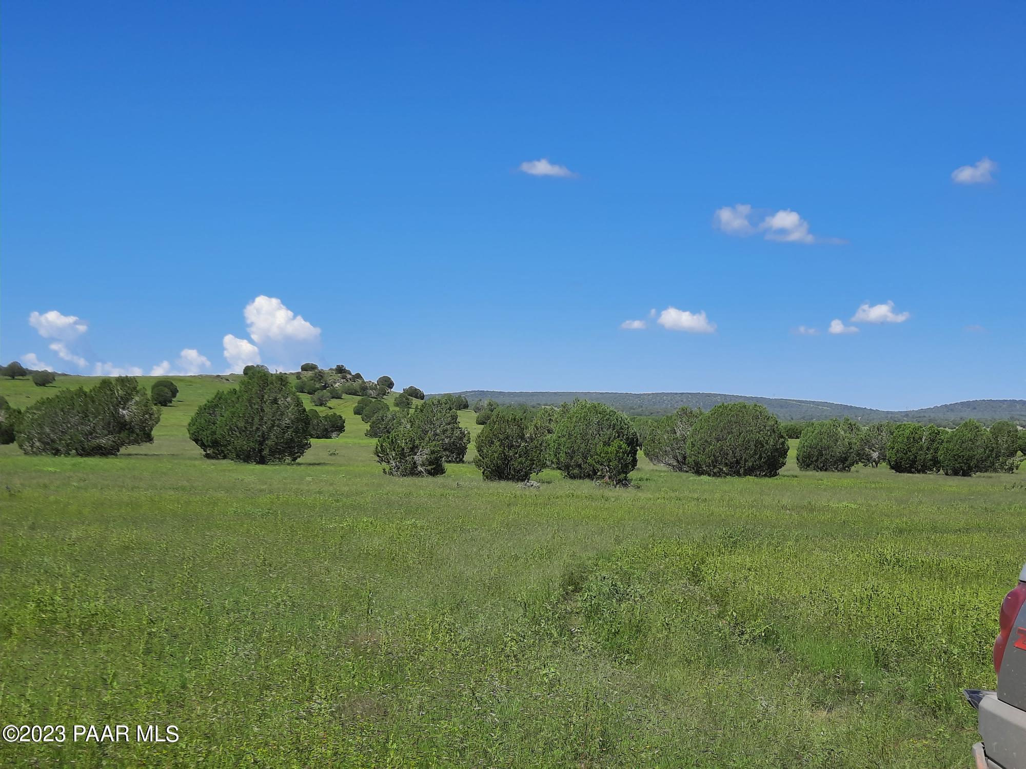 41599 West Terra Ranch Road Seligman, AZ 86337 - Photo 40 of 42 20220828_102601