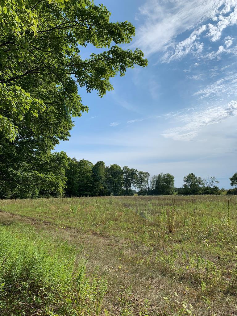 Tbd Lost Lake Road Egg Harbor, WI 54209 - Photo 2 of 29