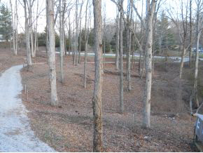 8775 South Gore Road Bloomington, IN 47403 - Photo 22 of 24 Gallery Image 22