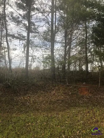 $35,000 | V/l Crabapple Drive, Hawkinsville, GA 31036