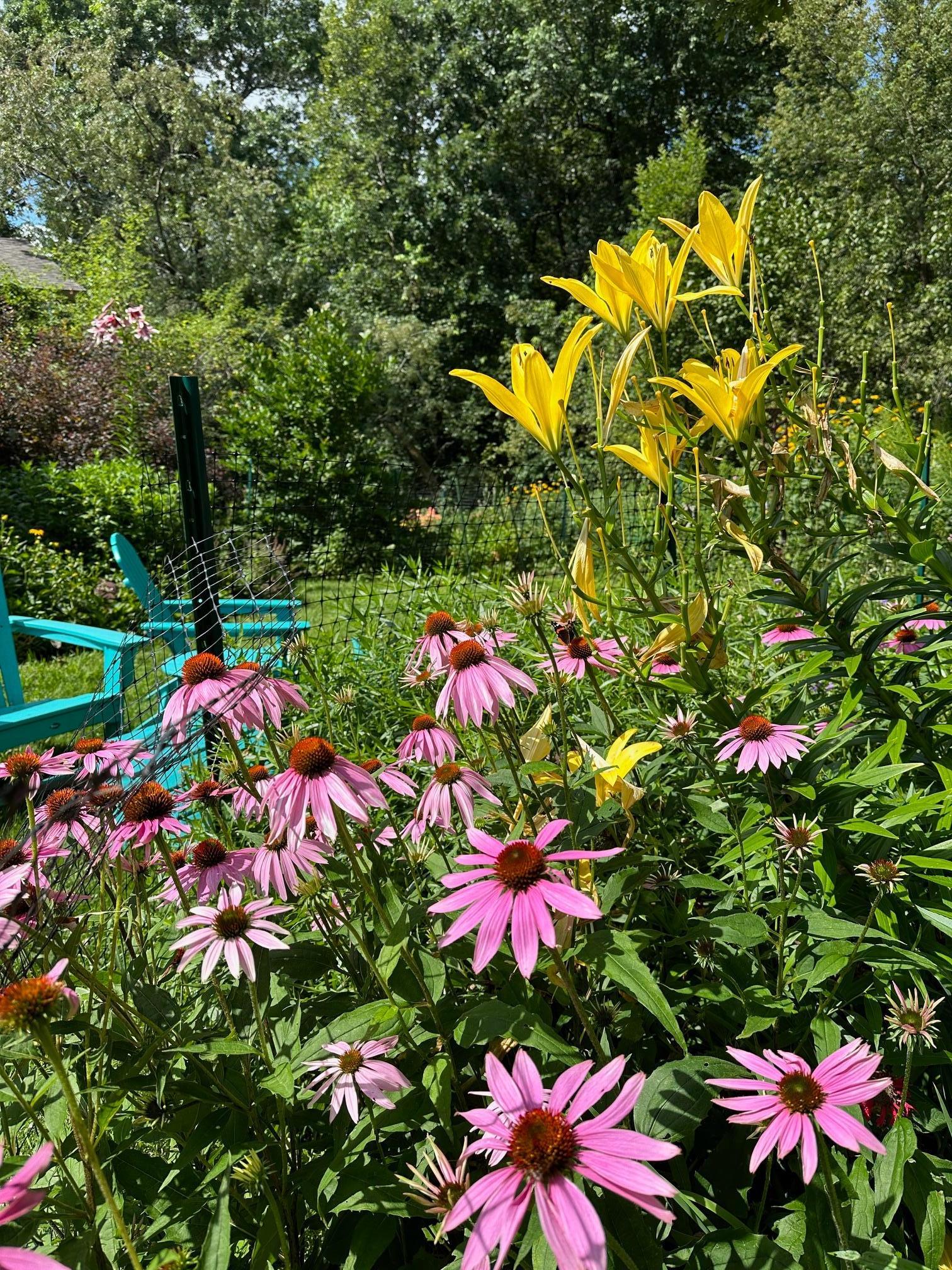 6952 Oakmere Lane Northwest Rochester, MN 55901 - Photo 61 of 78