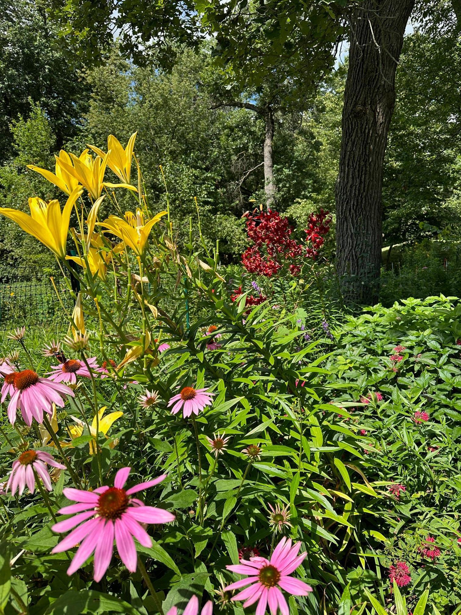6952 Oakmere Lane Northwest Rochester, MN 55901 - Photo 62 of 78