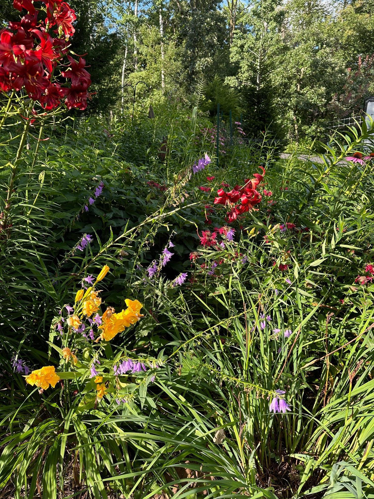 6952 Oakmere Lane Northwest Rochester, MN 55901 - Photo 63 of 78