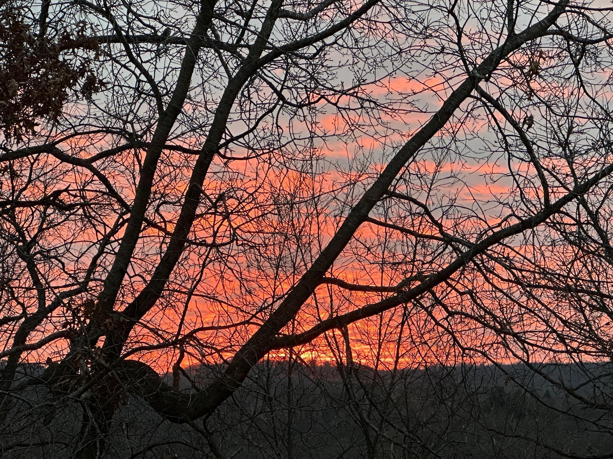 6952 Oakmere Lane Northwest Rochester, MN 55901 - Photo 65 of 78