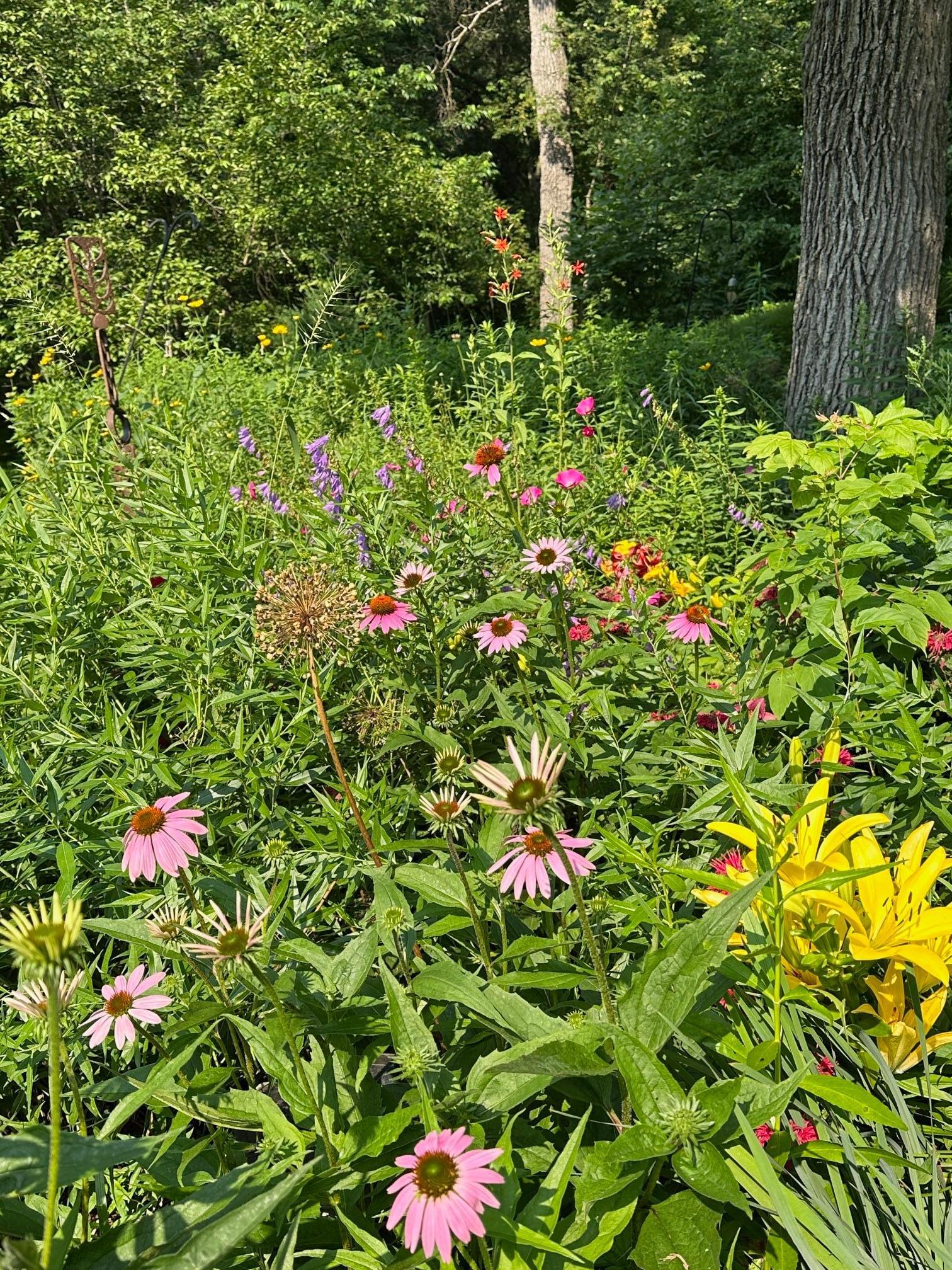 6952 Oakmere Lane Northwest Rochester, MN 55901 - Photo 69 of 78