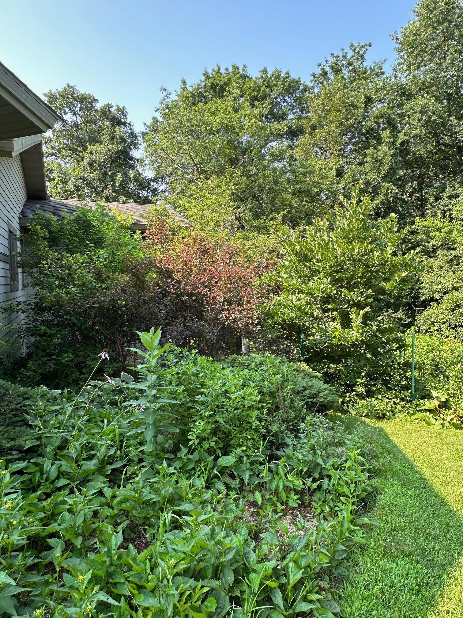 6952 Oakmere Lane Northwest Rochester, MN 55901 - Photo 70 of 78