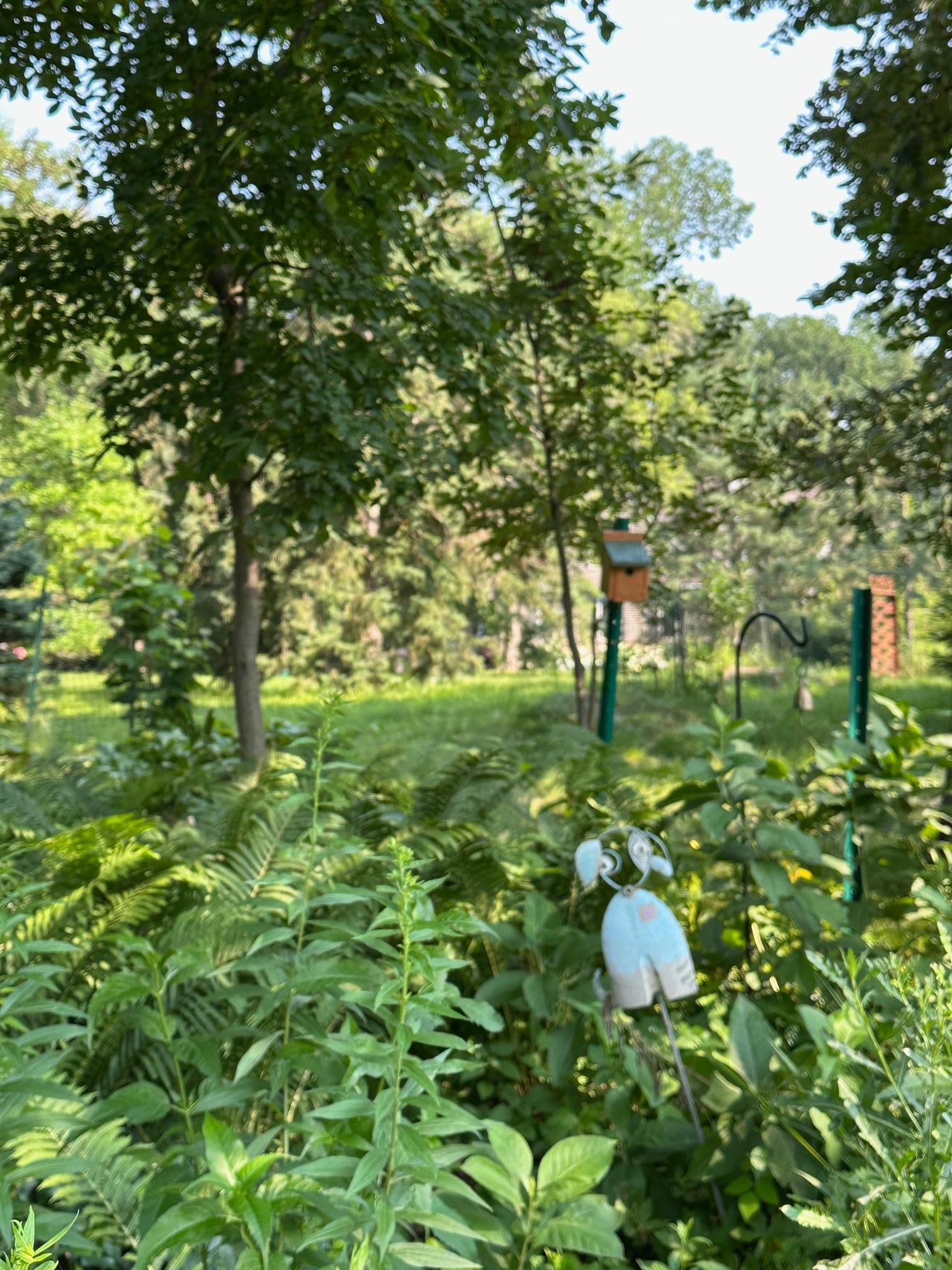 6952 Oakmere Lane Northwest Rochester, MN 55901 - Photo 71 of 78