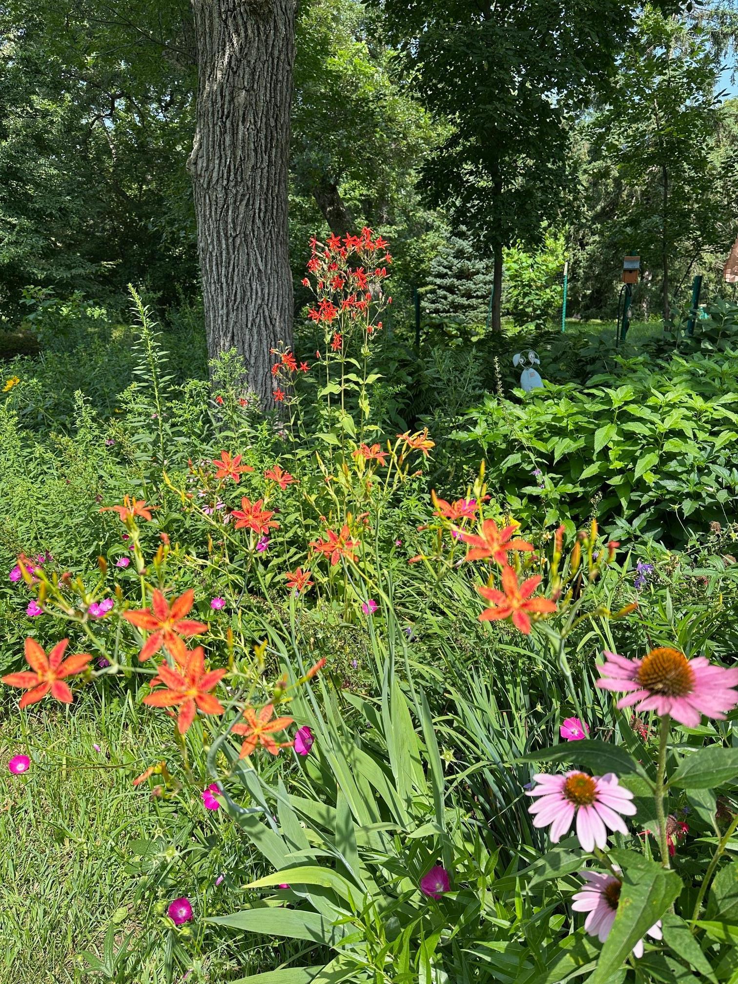 6952 Oakmere Lane Northwest Rochester, MN 55901 - Photo 73 of 78