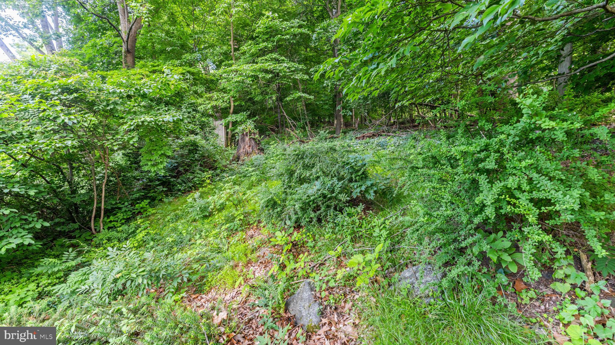 5025 Wetheredsville Road Baltimore, MD 21207 - Photo 56 of 58