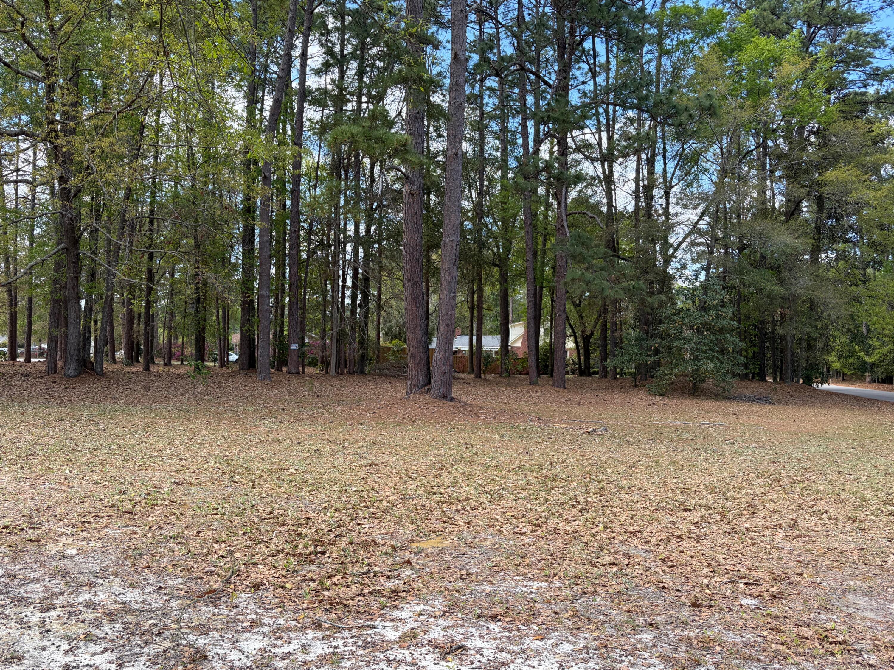 0 Otis Road Walterboro, SC 29488 - Photo 6 of 8