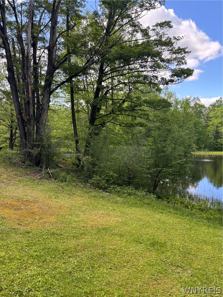 10147 Savage Road Sardinia, NY 14080 - Photo 19 of 21