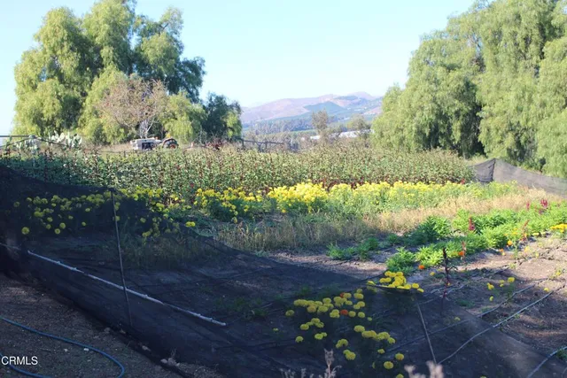 a view of lake with mountain