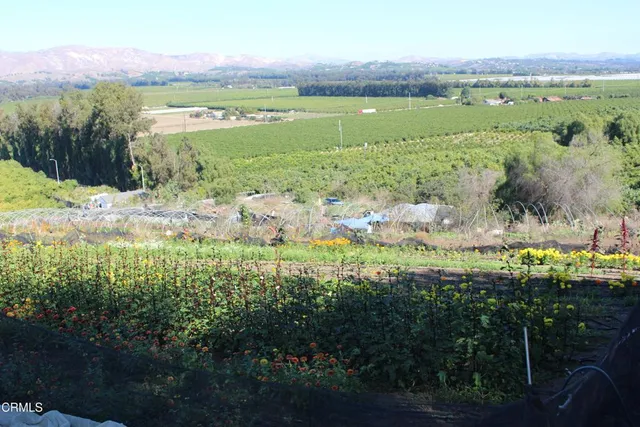 a view of an outdoor space and a yard