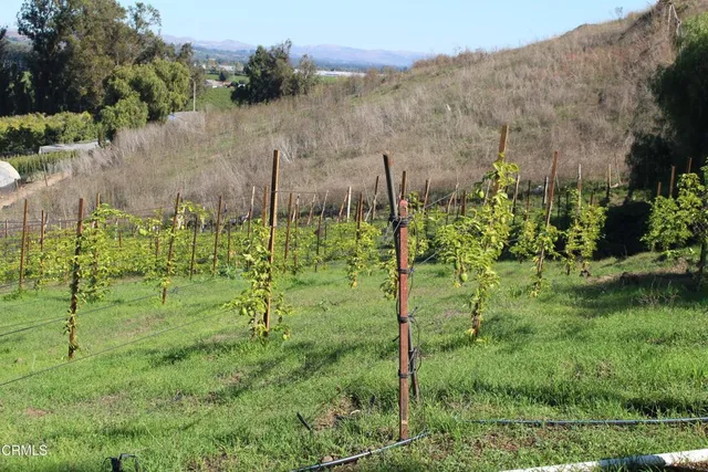 a backyard of a house with lots of green space