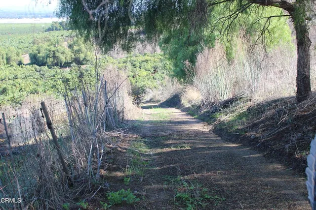 a view of a city and ocean view