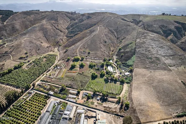 a view of a dry yard
