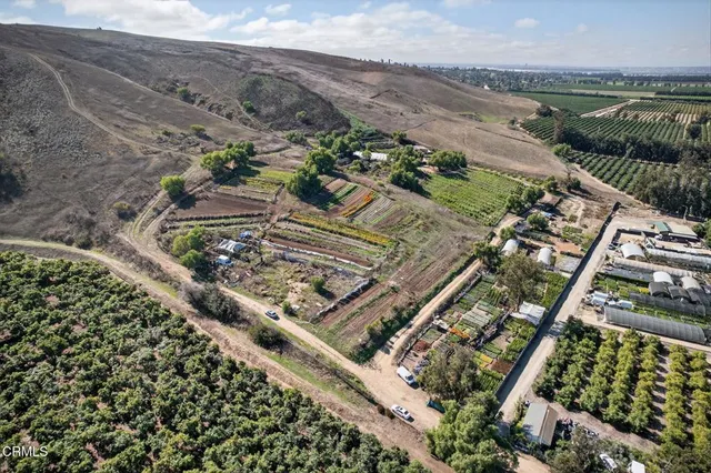 a view of a lake with a mountain in the background