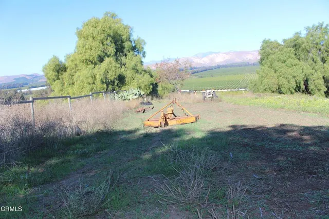 a view of a big yard