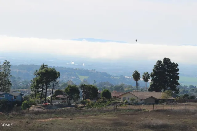 a view of a road with plants and trees
