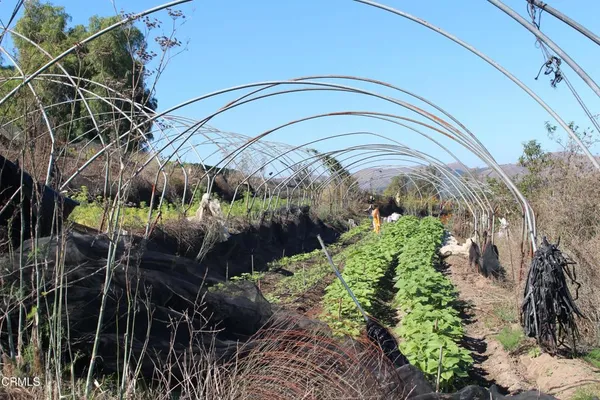 a view of a garden with flowers