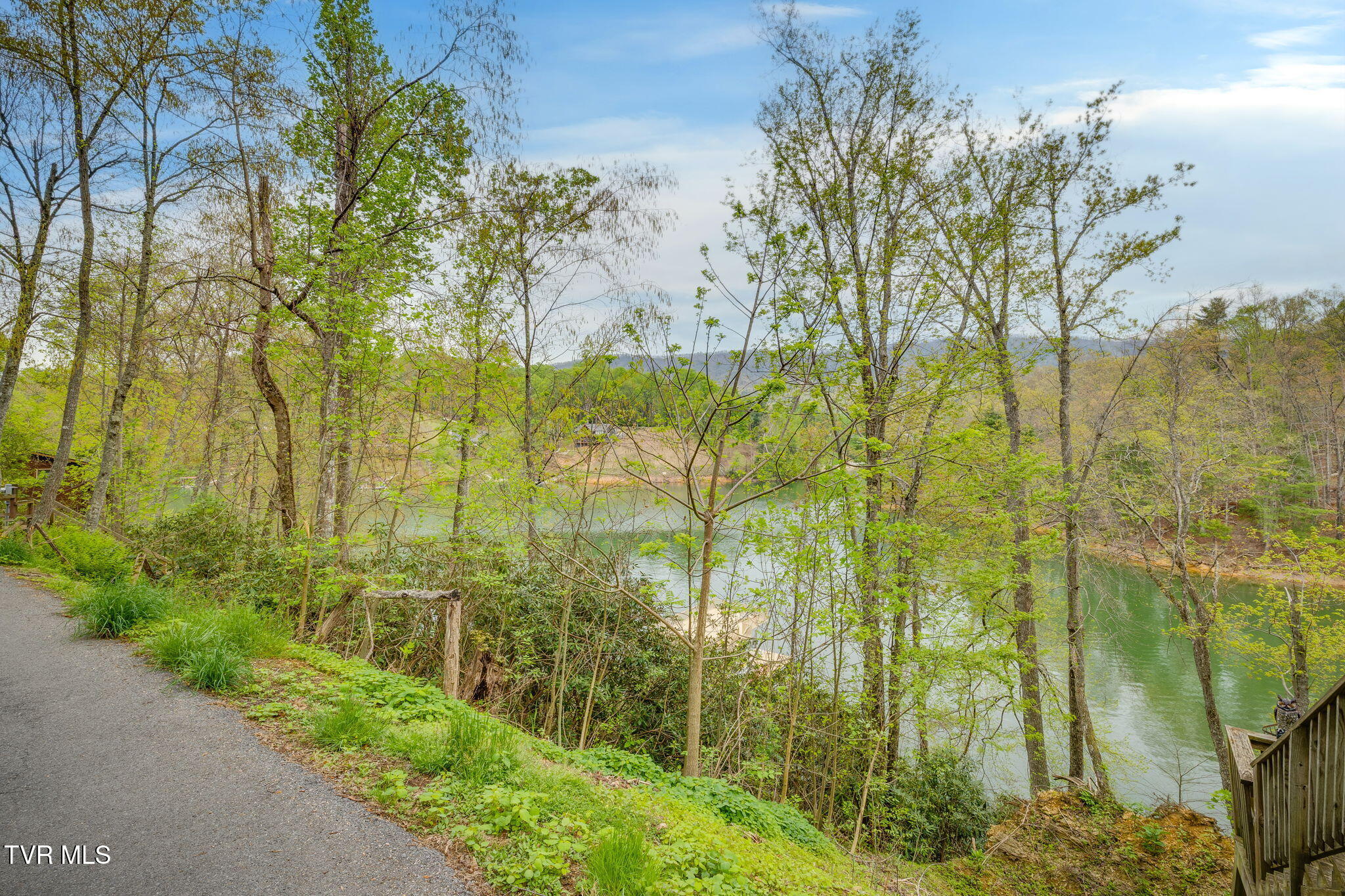 434 Cove Ridge Circle Butler, TN 37640 - Photo 7 of 10 113
