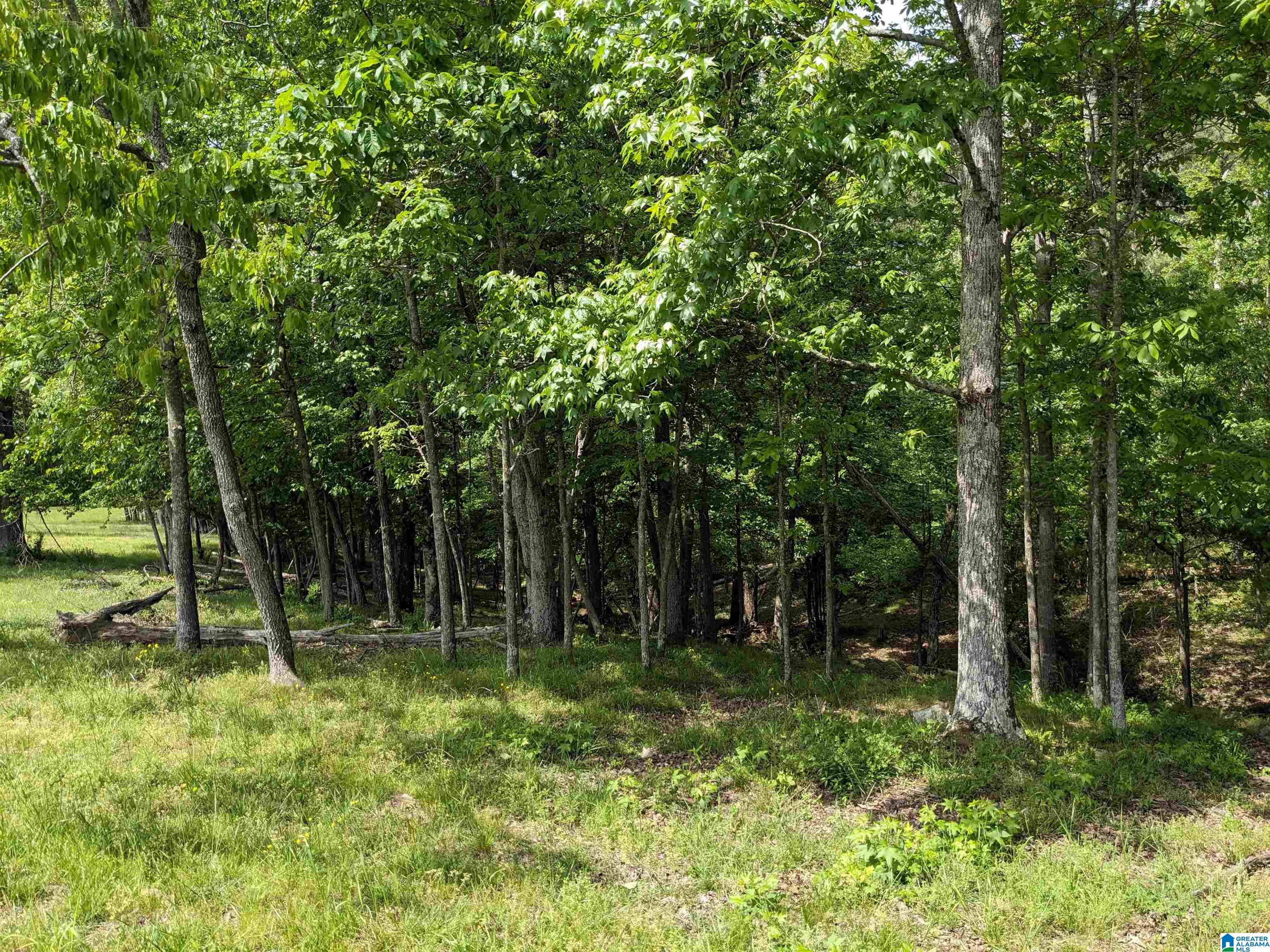 Burton Loop Road Altoona, AL 35952 - Photo 29 of 29 Gallery Image 29
