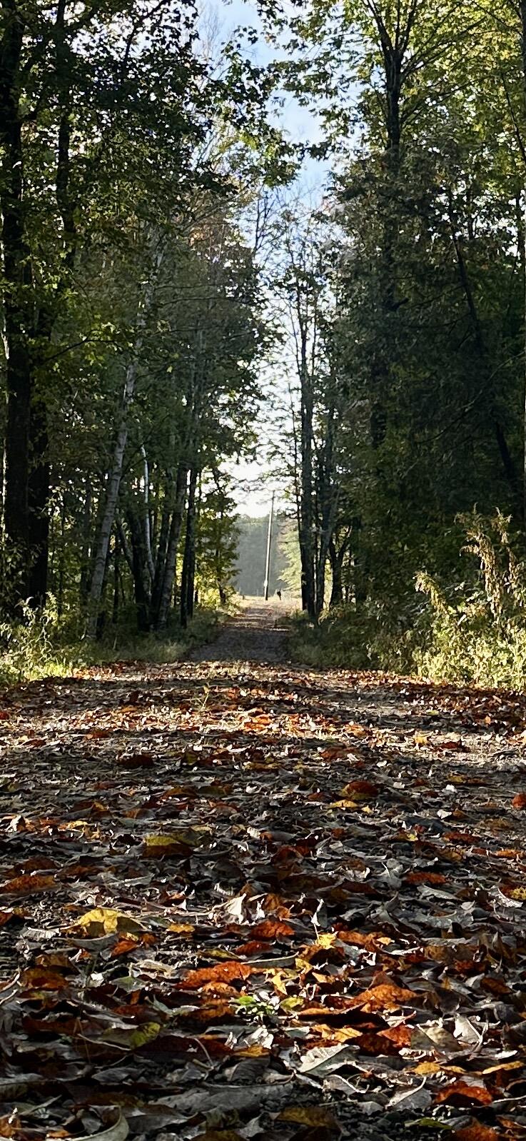 119 Reynolds Road Brooks, ME 04921 - Photo 21 of 30 IMG_1693