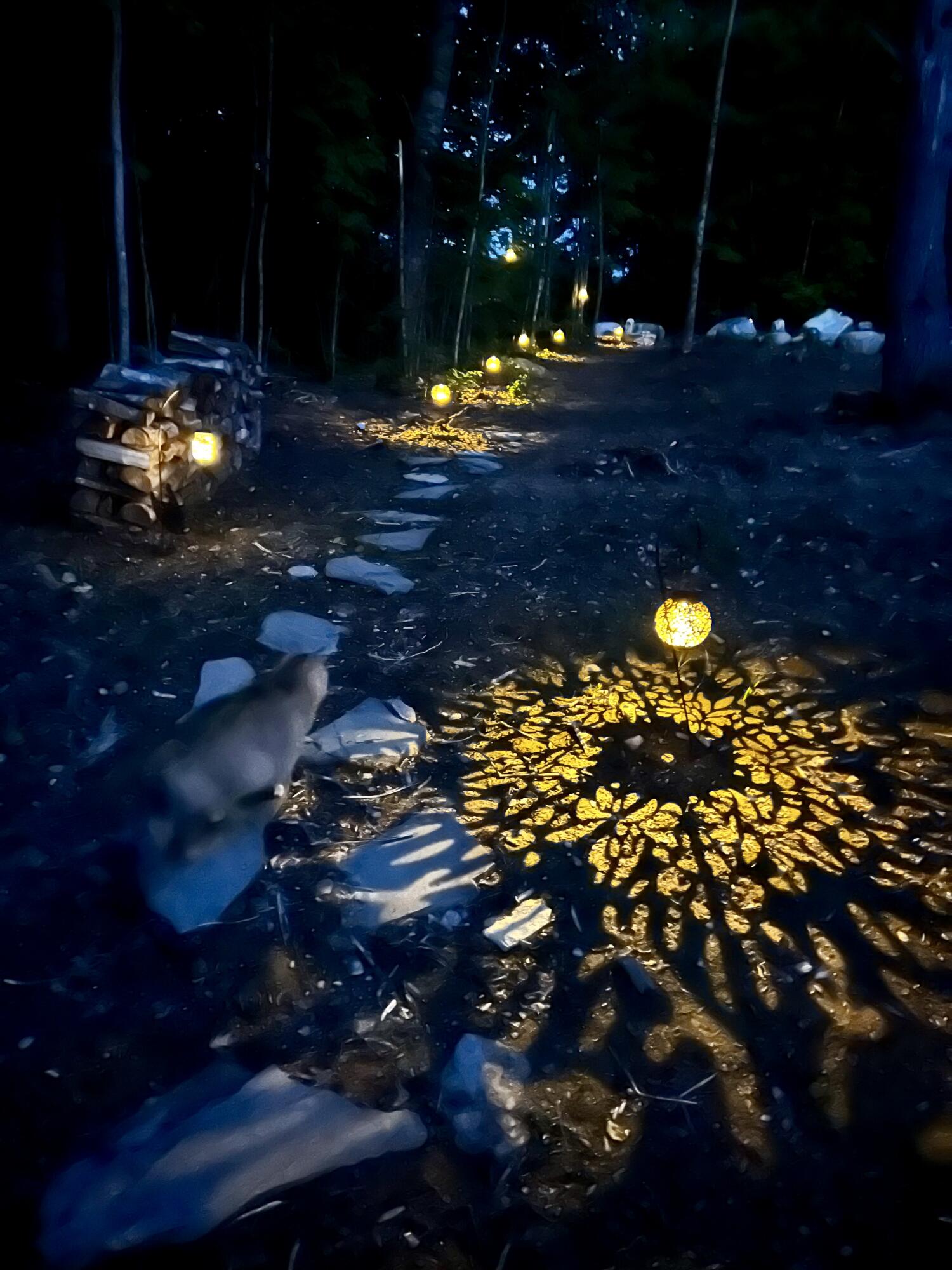 119 Reynolds Road Brooks, ME 04921 - Photo 25 of 30 IMG_0302