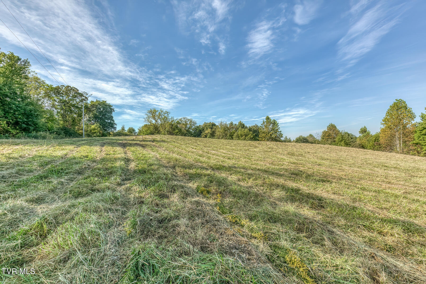 1680 Old Milburnton Road Limestone, TN 37681 - Photo 46 of 62 1680 Old Milburnton Rd-49