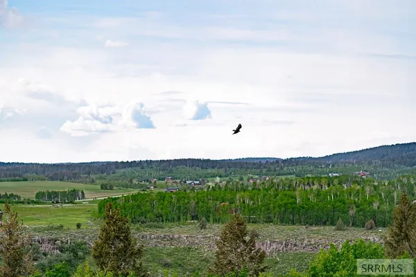 $1,325,000 | 1528 Highway 47, Ashton, ID 83420