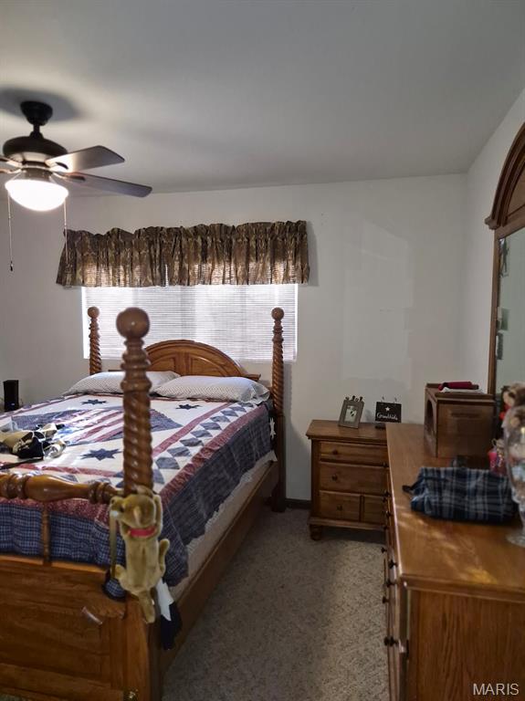 227 Rue Marne Bonne Terre, MO 63628 - Photo 13 of 30