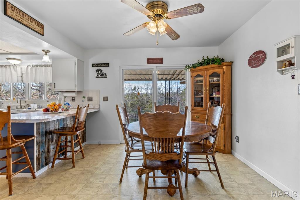 227 Rue Marne Bonne Terre, MO 63628 - Photo 37 of 59