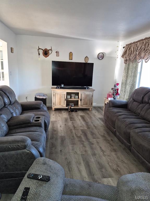 227 Rue Marne Bonne Terre, MO 63628 - Photo 4 of 30