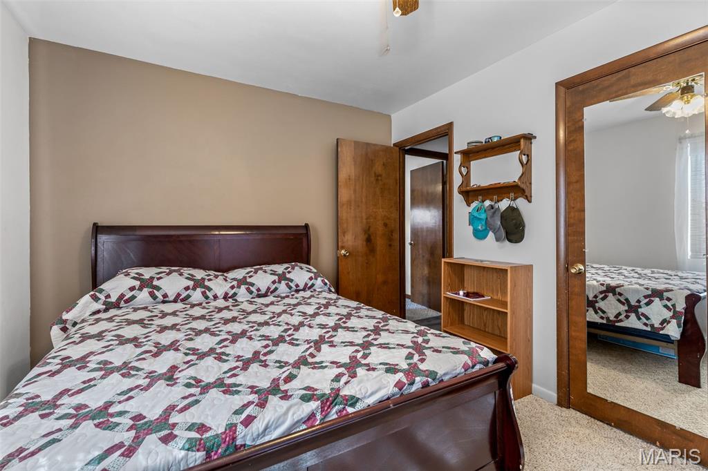 227 Rue Marne Bonne Terre, MO 63628 - Photo 43 of 59