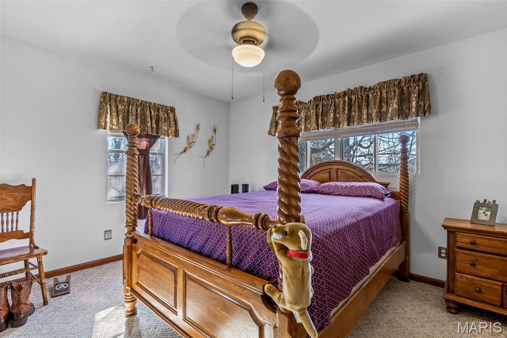 227 Rue Marne Bonne Terre, MO 63628 - Photo 44 of 59