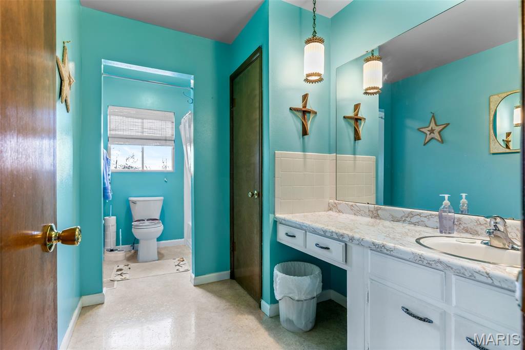 227 Rue Marne Bonne Terre, MO 63628 - Photo 46 of 59