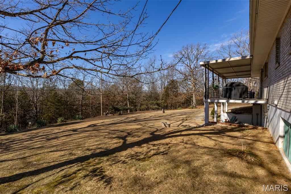 227 Rue Marne Bonne Terre, MO 63628 - Photo 5 of 59