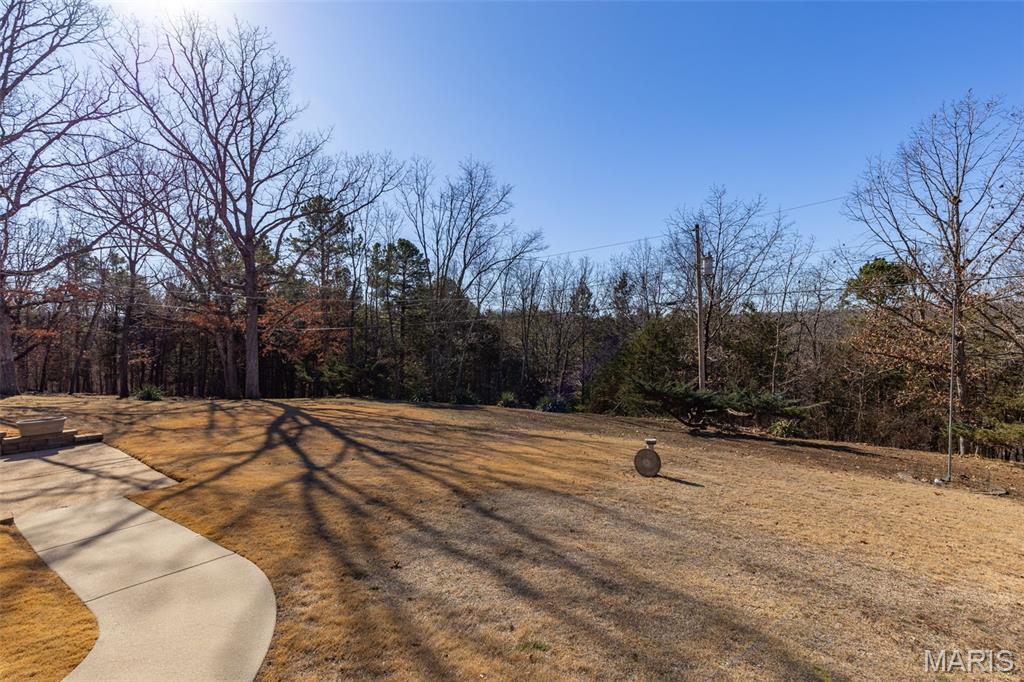 227 Rue Marne Bonne Terre, MO 63628 - Photo 9 of 59